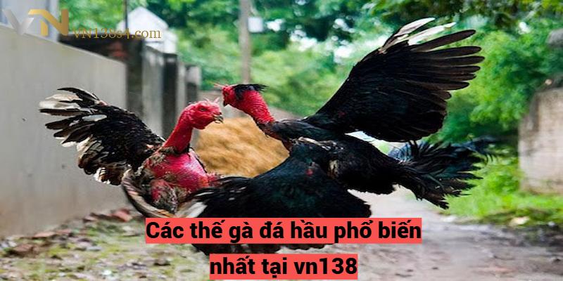 Các thế gà đá hầu phổ biến nhất tại vn138