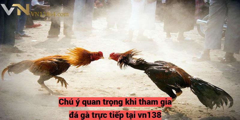 Chú ý quan trọng khi tham gia đá gà trực tiếp tại vn138