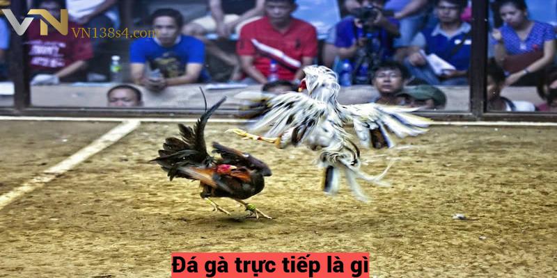 Đá gà trực tiếp là gì?