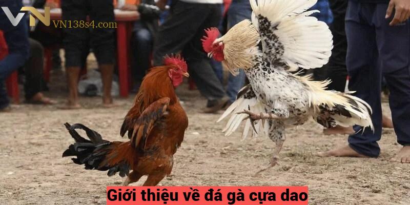 Giới thiệu về đá gà cựa dao