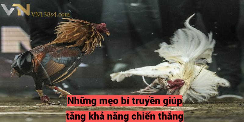 Những mẹo bí truyền giúp tăng khả năng chiến thắng