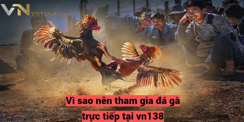 Vì sao nên tham gia đá gà trực tiếp tại vn138?